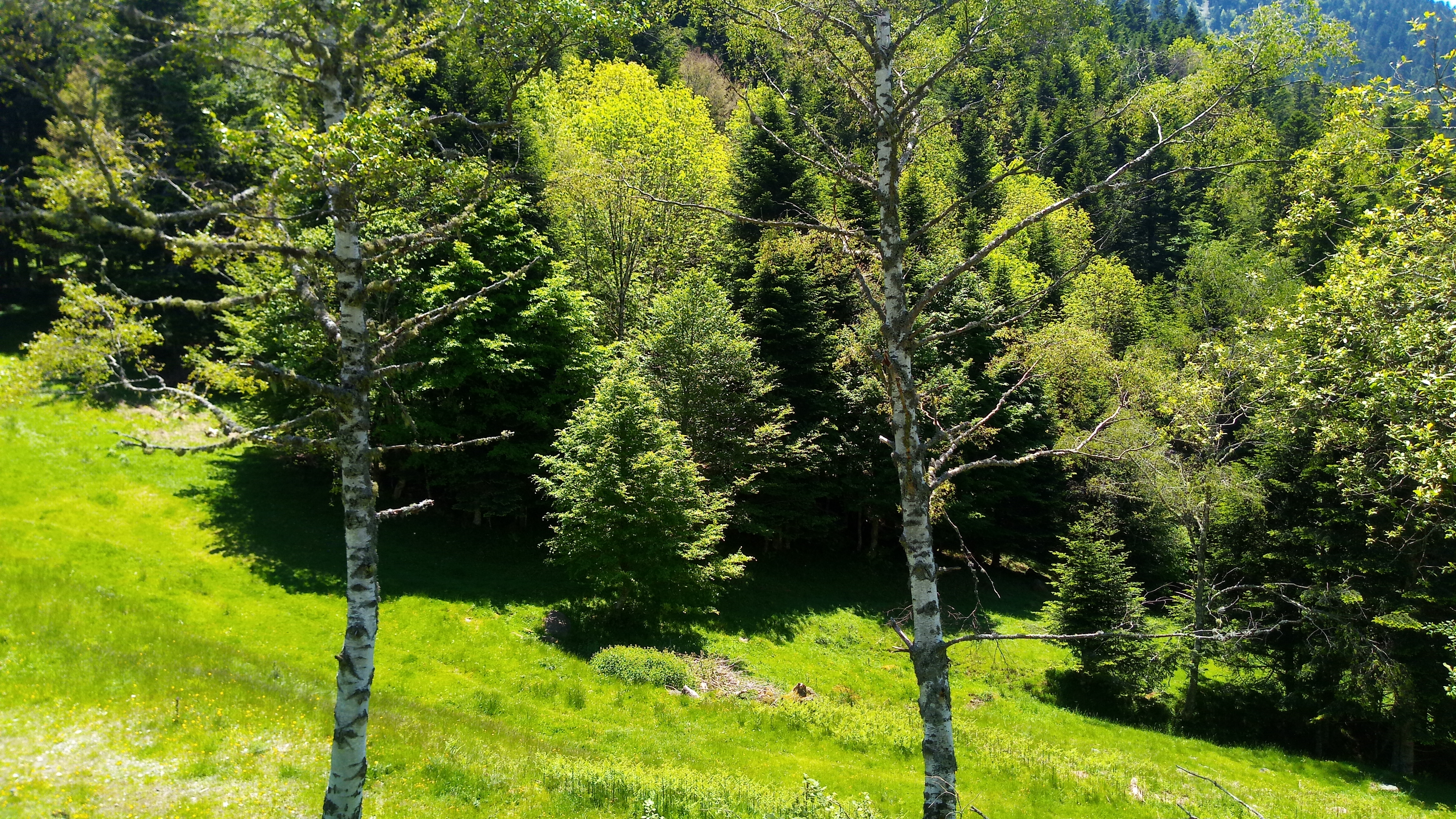 Photo n° 3 de l'avis de Hypnose.e fait le 01/07/2019 à 07:26
