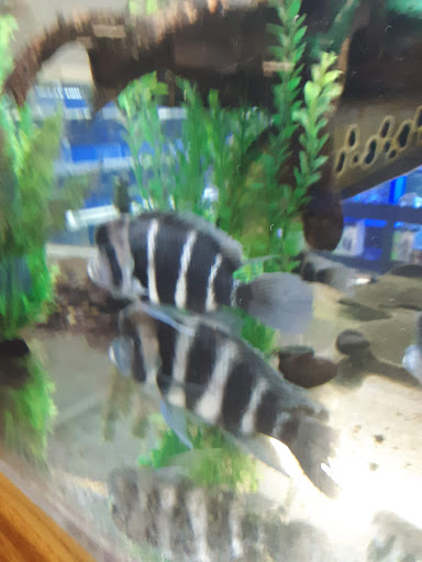 Pet Store «The Pet Zone», reviews and photos, 20 W Oak St, Pittston, PA 18640, USA