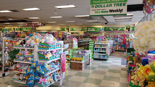 Dollar Store «Dollar Tree», reviews and photos, 7202 S 1000 E #15, Midvale, UT 84047, USA