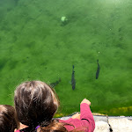 Photo n° 3 de l'avis de Bernard.a fait le 14/07/2019 à 11:42 pour Le Sorguett à L'Isle-sur-la-Sorgue