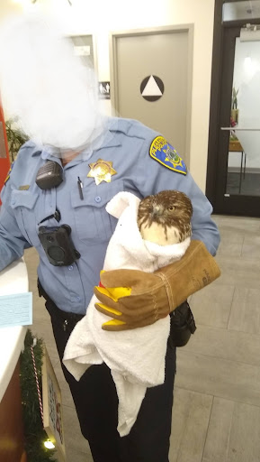 Veterinary Emergency Group image