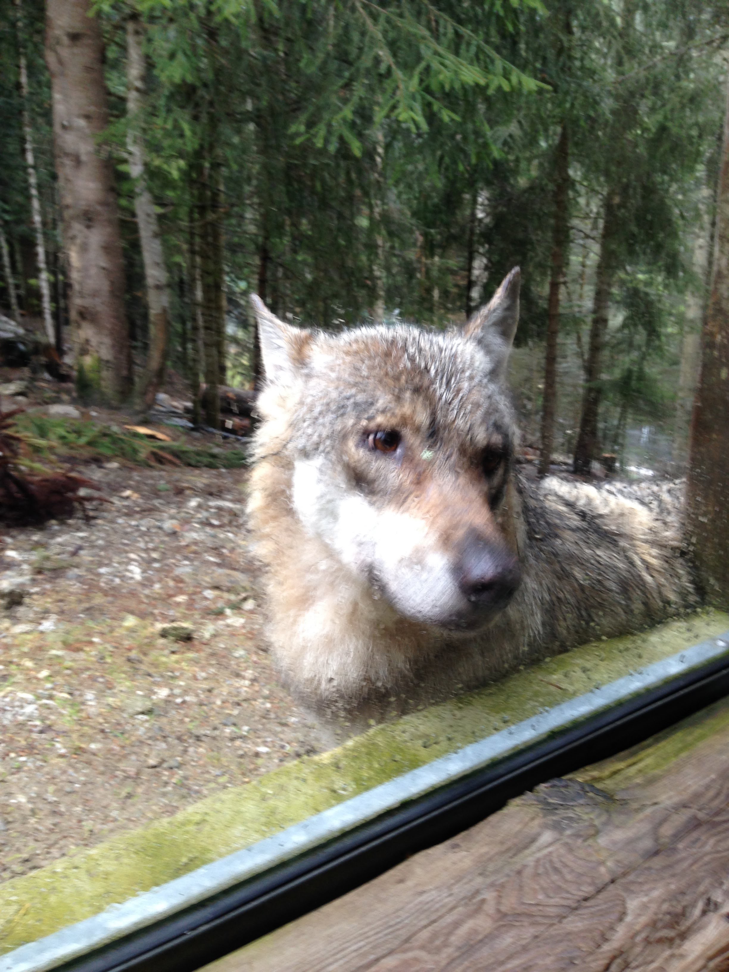 Photo n° 1 de l'avis de Lucille.a fait le 06/08/2018 à 22:01