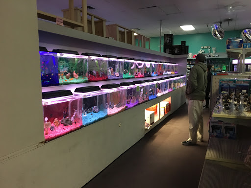 Tropical Fish Store «Trop Aquarium», reviews and photos, 3125 E Tropicana Ave D, Las Vegas, NV 89121, USA