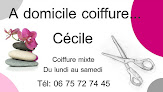 Coiffeur à domicile A domicile coiffure Cécile 28350 Saint-Lubin-des-Joncherets
