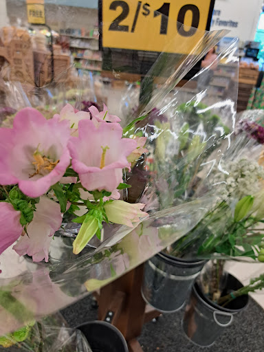 Grocery Store «Food Lion», reviews and photos, 3636 Bell Rd, Nashville, TN 37214, USA