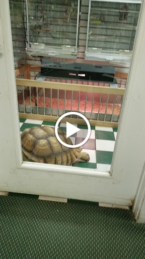 Pet Store «Westwood Pets Unlimited», reviews and photos, 15 Westwood Ave, Westwood, NJ 07675, USA