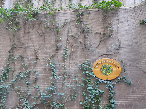 Park «Paley Park», reviews and photos, 3 E 53rd St, New York, NY 10022, USA