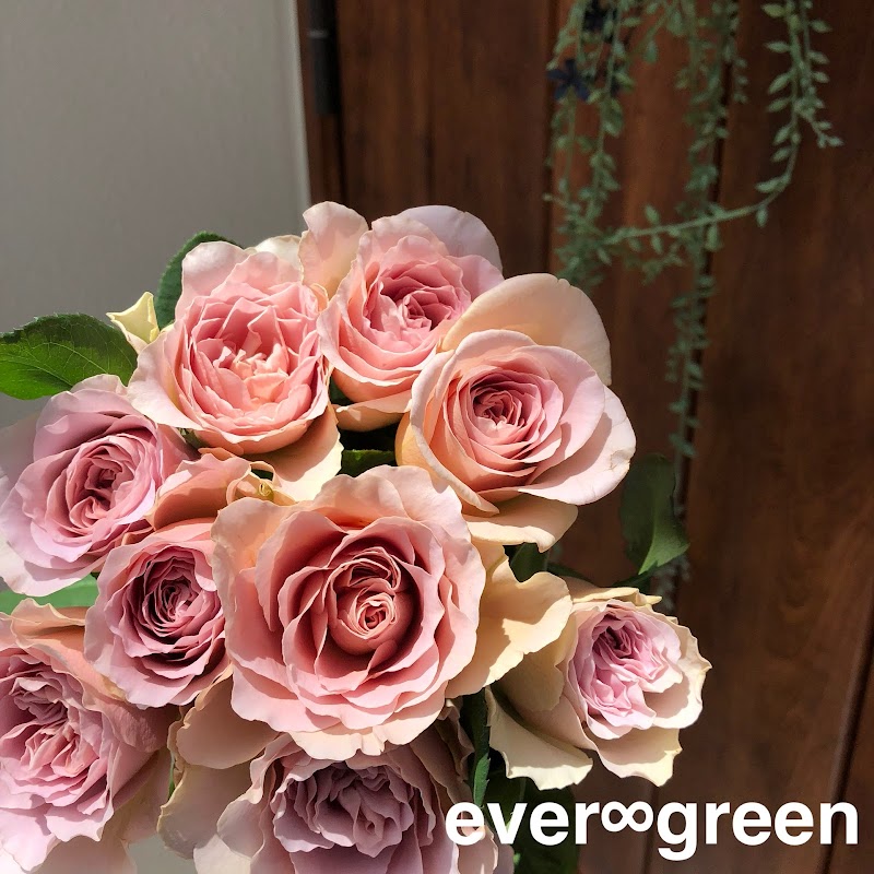 ever ∞ green