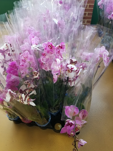 Produce Market «Produce Junction Inc», reviews and photos, 6825 Tilton Rd, Egg Harbor Township, NJ 08234, USA