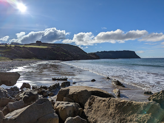 Fossil Bluff Beach