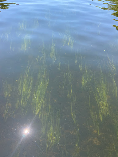 Camp «Adventure Sports», reviews and photos, 398 Seven Bridges Rd., East Stroudsburg, PA 18301, USA