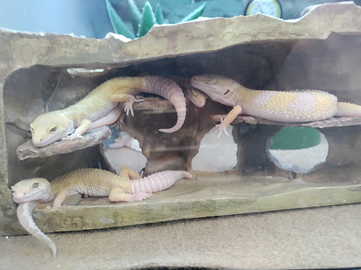 Pet Supply Store «Petco Animal Supplies», reviews and photos, 24413 Crenshaw Blvd #8, Torrance, CA 90505, USA