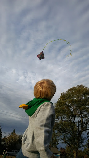Park «Highland Park Playground», reviews and photos, 1100 SW Cloverdale St, Seattle, WA 98106, USA