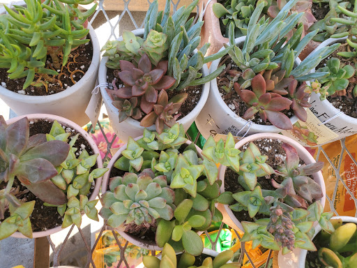 Home Improvement Store «The Home Depot», reviews and photos, 10515 N Mopac Expy, Austin, TX 78759, USA