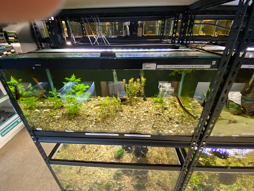 Pet Store «Fin & Feather Pet Center, Inc.», reviews and photos, 5208 Lakeside Ave, Richmond, VA 23228, USA