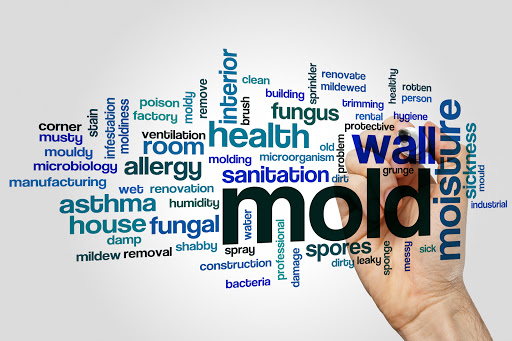 Waterproofing Company «Healthy Basement Systems», reviews and photos