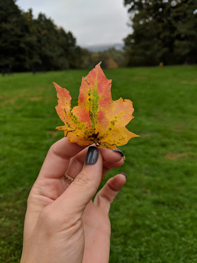 Historical Place «Locust Grove Estate», reviews and photos, 2683 South Rd, Poughkeepsie, NY 12601, USA