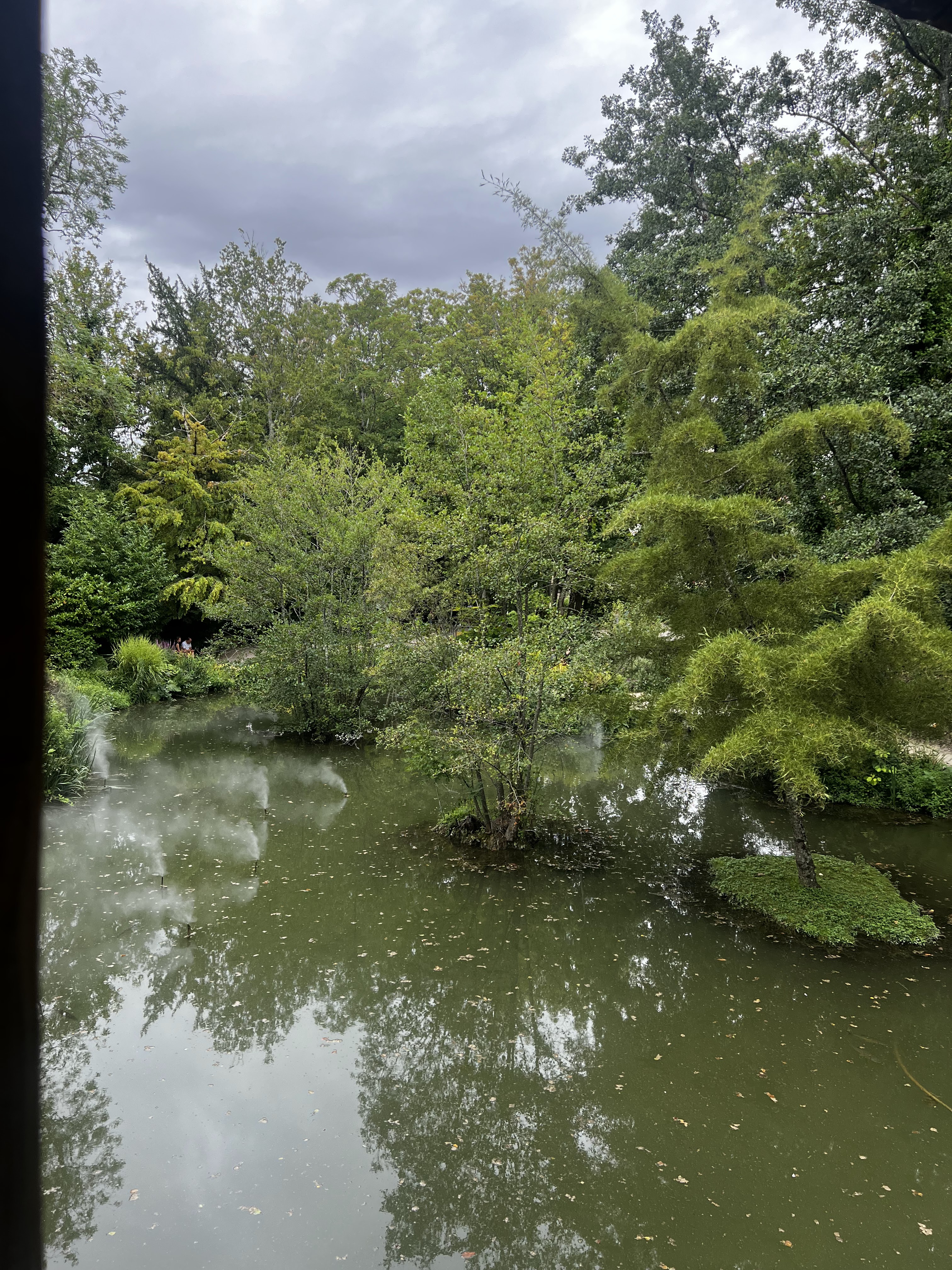 Photo n° 7 de l'avis de Yoann.h fait le 17/08/2023 à 13:46