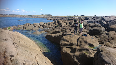Cairn de l'île Carn à Ploudalmézeau