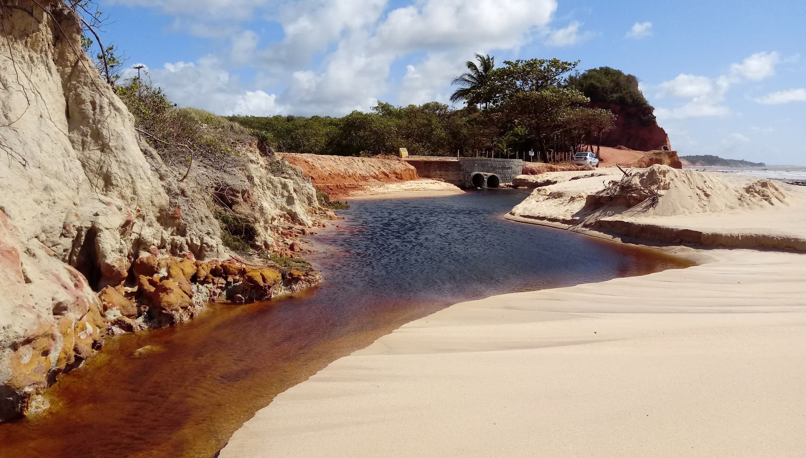 Foto van Amandelstrand gelegen in een natuurlijk gebied