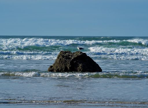 Tourist Attraction «Haystack Rock», reviews and photos, US-101, Cannon Beach, OR 97110, USA
