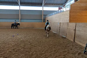 Ronneby Horse Center image
