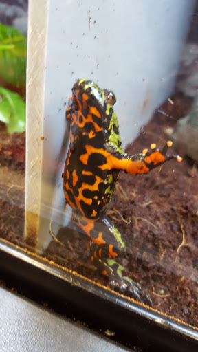 Pet Supply Store «Petco Animal Supplies», reviews and photos, 1425 N Montebello Blvd, Montebello, CA 90640, USA