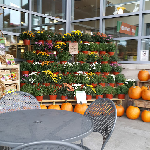 Grocery Store «Whole Foods Market», reviews and photos, 13998 Cedar Rd, University Heights, OH 44118, USA