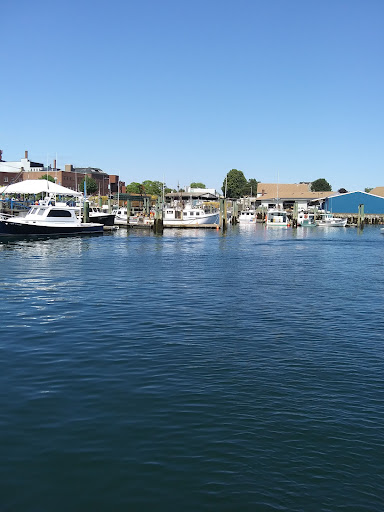 Whale Watching Tour Agency «7 Seas Whale Watch», reviews and photos, 63 Rogers St, Gloucester, MA 01930, USA