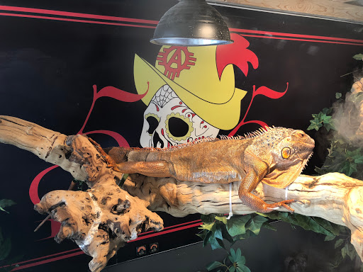 Find tattoo anklet ideas for your next unique tattoo in Albuquerque at Tattoosbyfrankieg