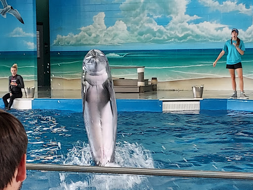 Educational Institution «Institute For Marine Mammal Studies», reviews and photos, 10801 Dolphin Ln, Gulfport, MS 39503, USA