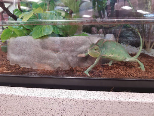 Pet Supply Store «Petco Animal Supplies», reviews and photos, 2005 Crow Canyon Pl, San Ramon, CA 94583, USA