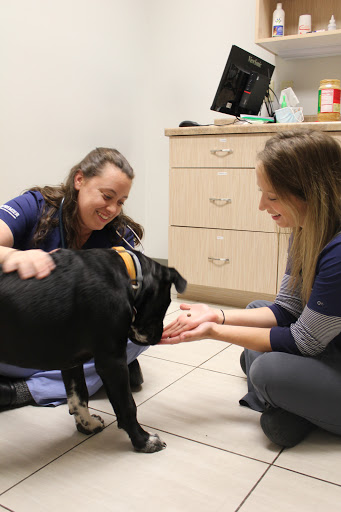 4504 Monona Dr, Madison, WI 53716, USA