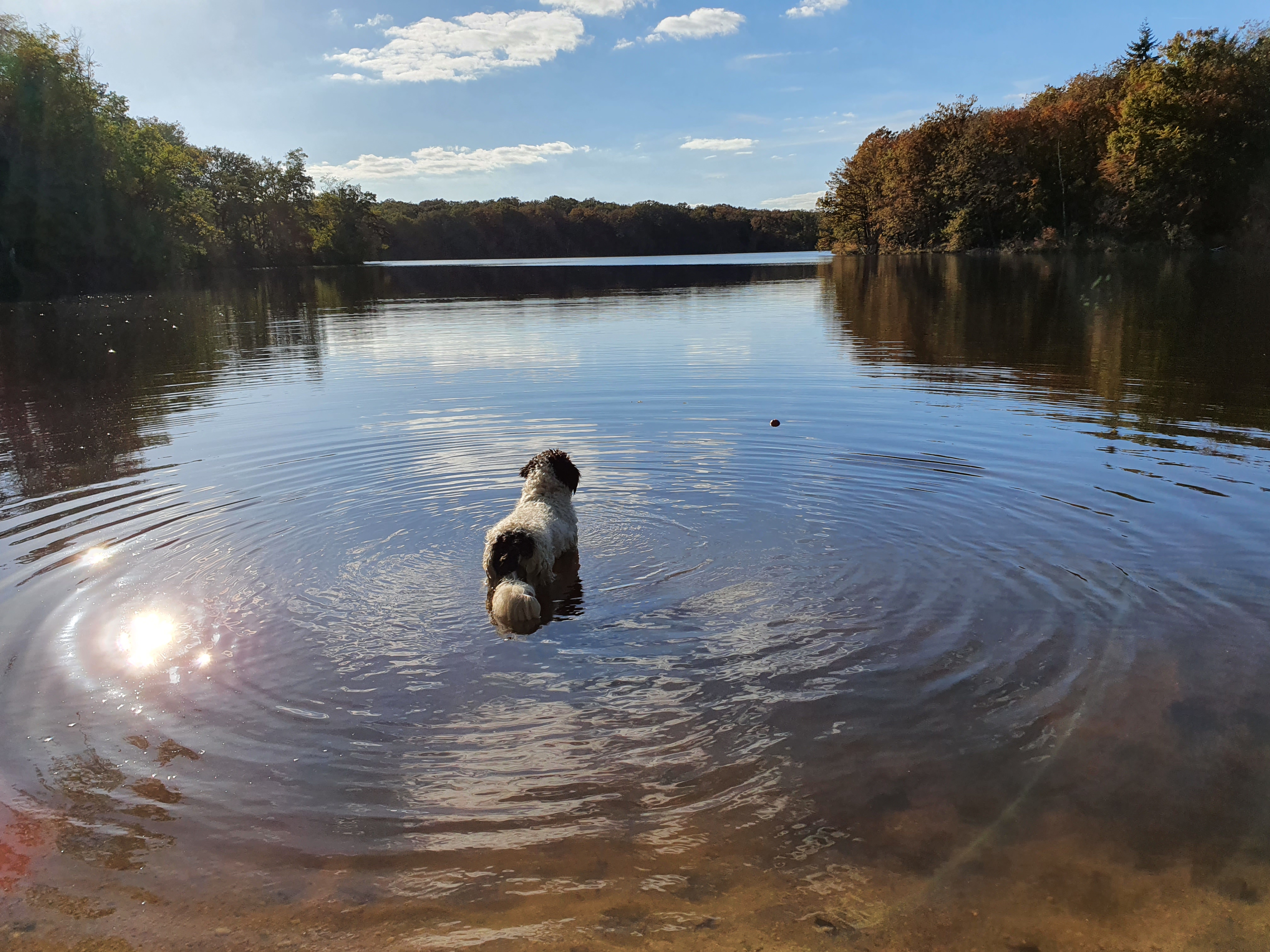 Photo n° 3 de l'avis de henk.w fait le 25/10/2021 à 17:07