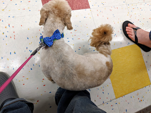 Pet Supply Store «Petco Animal Supplies», reviews and photos, 9 W Avon Rd, Avon, CT 06001, USA