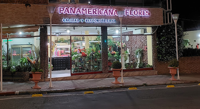 Panamericana Flores