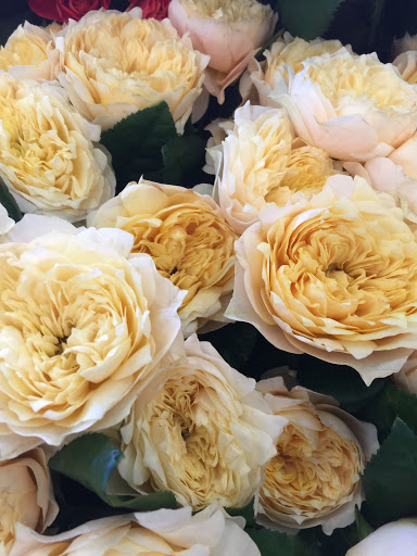 Florist «Jephry Flower Studio», reviews and photos, 432 Broadway, Providence, RI 02909, USA