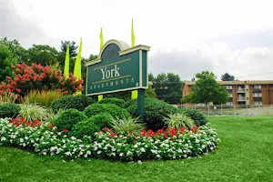 York Apartments image