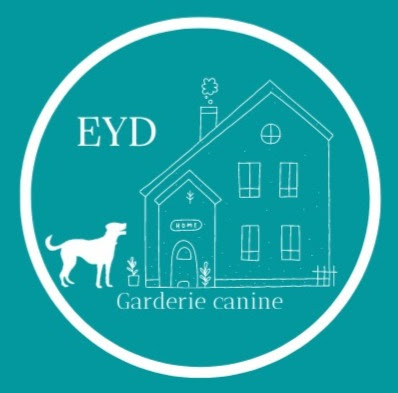Educateur garderie canine Saône-et-Loire à Thil-sur-Arroux