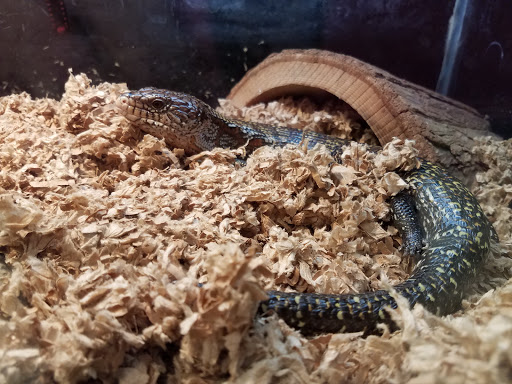 Pet Store «Pet World Warehouse Outlet», reviews and photos, 2984 S 108th St, Milwaukee, WI 53227, USA