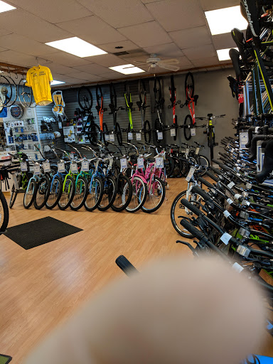 Bicycle Store «Mount Holly Bicycles», reviews and photos, 1645 NJ-38, Mt Holly, NJ 08060, USA