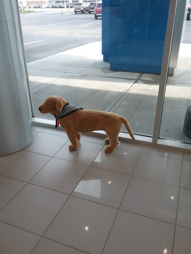 Buick Dealer «Dellen Chevrolet Buick GMC», reviews and photos, 2527 W Main St, Greenfield, IN 46140, USA