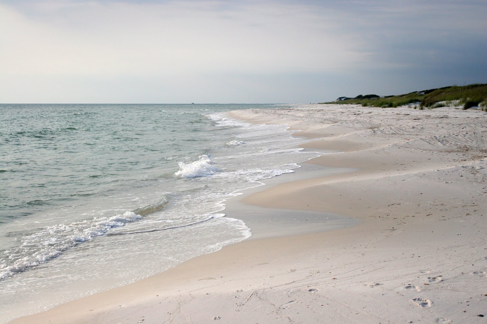 Foto av Darwin Beach med vit sand yta