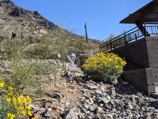 Gym «Youfit Health Clubs», reviews and photos, 1515 Bethany Home Rd, Phoenix, AZ 85016, USA