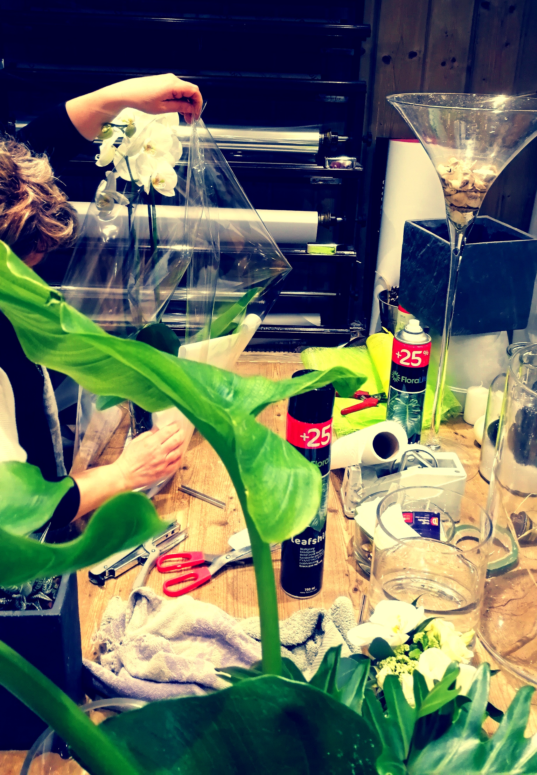 Photo n° 2 de l'avis de H. fait le 07/05/2018 à 22:19