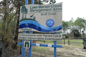 Lake Marion Creek Wildlife Management Area image
