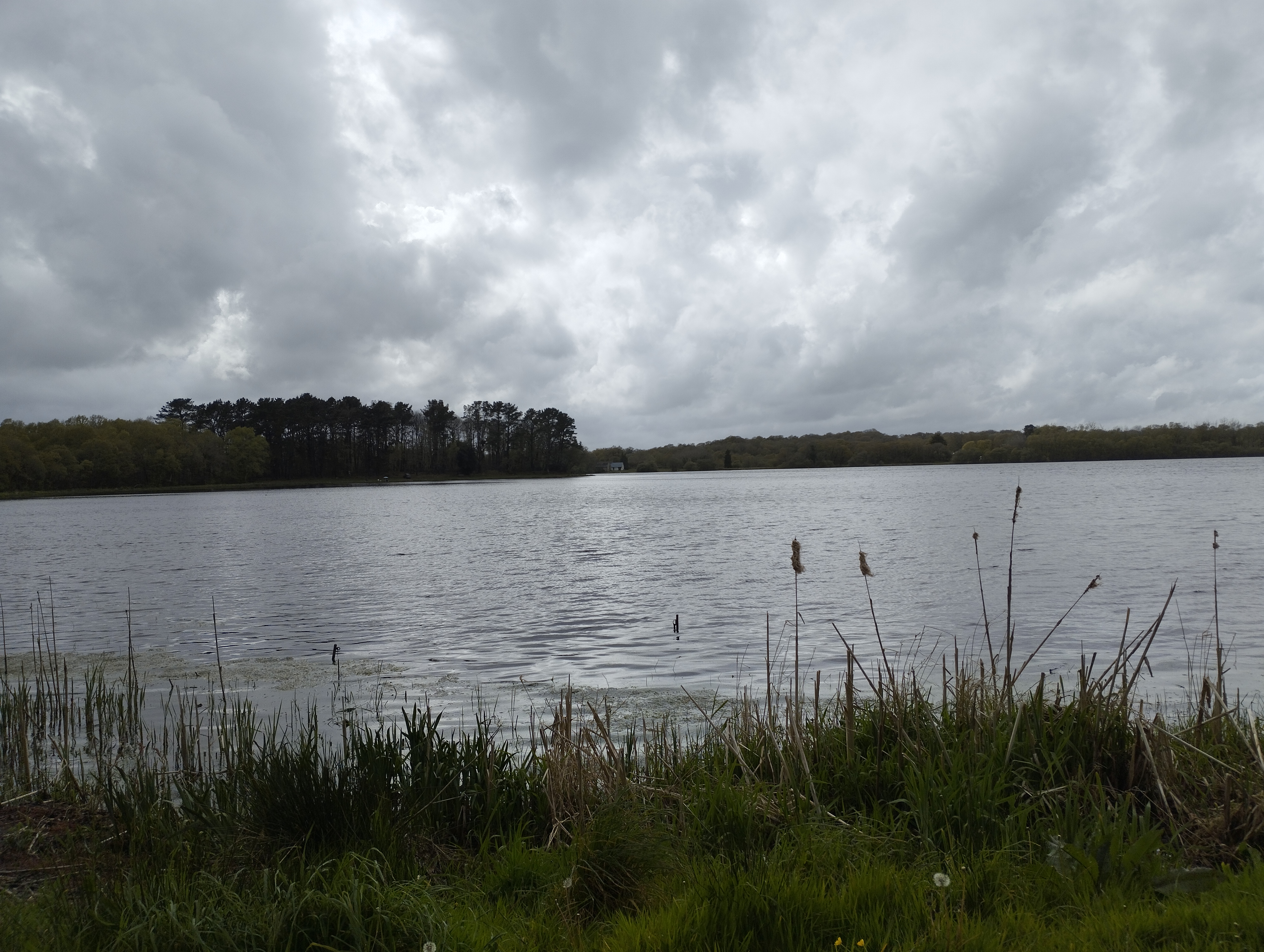 Photo n° 1 de l'avis de tof.a fait le 01/05/2023 à 17:55