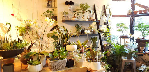 Flower Designer «Bloom Couture Floral Studio», reviews and photos, 769 Tremont St, Boston, MA 02118, USA