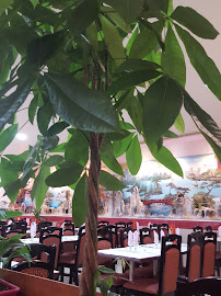 Atmosphère du Restaurant vietnamien Saïgon 2 à Draguignan - n°11