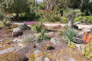 The Exotic Garden of Roscoff image